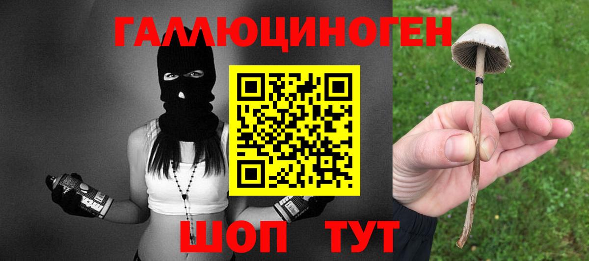 Псилоцибиновые грибы Cubensis  Псилоцибиновые грибы ЛСД  Вход с VPN  Чита 